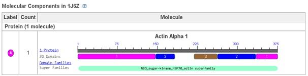 Molecular component.jpg